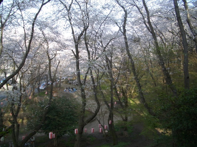 f:id:ryuuzanshi:20100406160513j:image