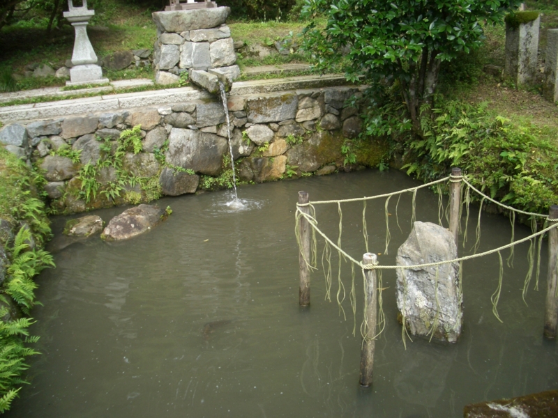 f:id:ryuuzanshi:20100705163110j:image