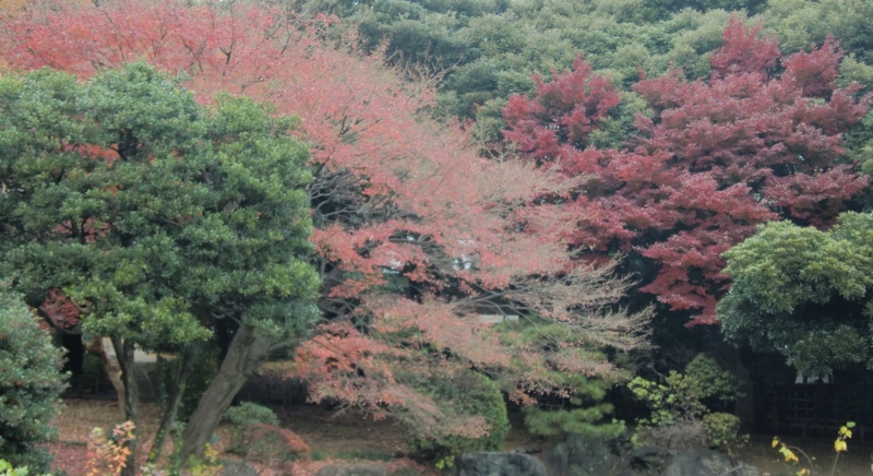 f:id:ryuuzanshi:20101207143419j:image