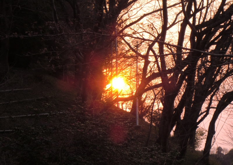 f:id:ryuuzanshi:20110330171941j:image f:id:ryuuzanshi:20110330171941j:image