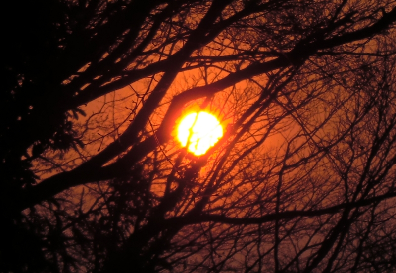 f:id:ryuuzanshi:20110330172306j:image f:id:ryuuzanshi:20110330172306j:image