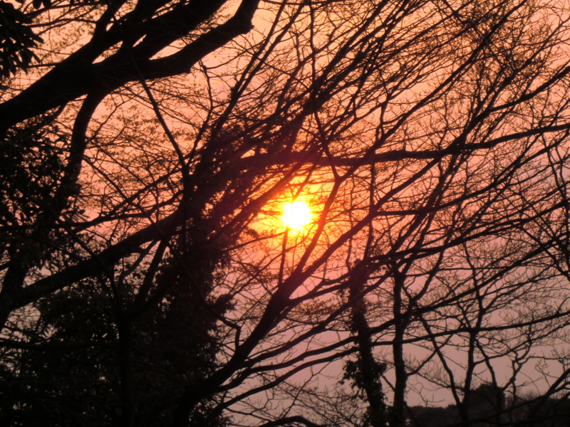 f:id:ryuuzanshi:20110330172415j:image f:id:ryuuzanshi:20110330172415j:image