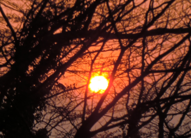 f:id:ryuuzanshi:20110330172604j:image f:id:ryuuzanshi:20110330172604j:image