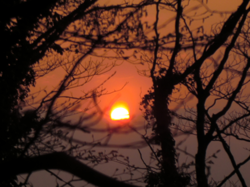 f:id:ryuuzanshi:20110330172650j:image f:id:ryuuzanshi:20110330172650j:image