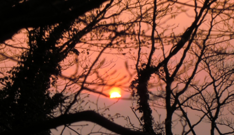 f:id:ryuuzanshi:20110330172720j:image f:id:ryuuzanshi:20110330172720j:image