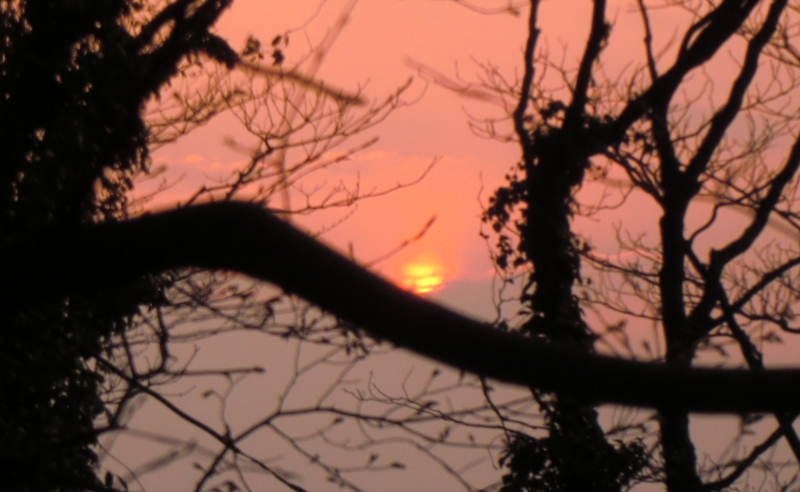 f:id:ryuuzanshi:20110330172807j:image f:id:ryuuzanshi:20110330172807j:image