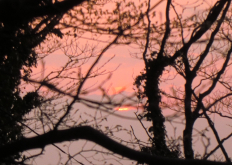 f:id:ryuuzanshi:20110330172933j:image f:id:ryuuzanshi:20110330172933j:image