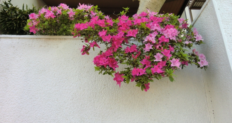 f:id:ryuuzanshi:20110425161356j:image
