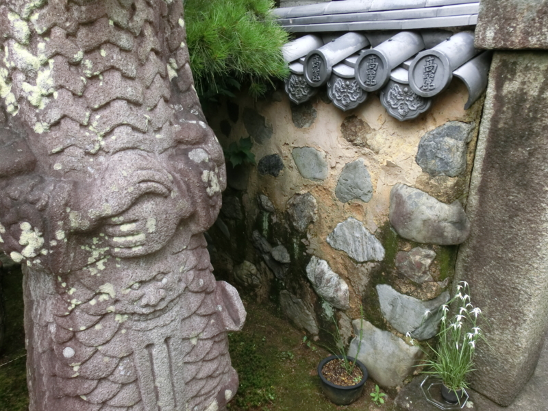 f:id:ryuuzanshi:20120708150238j:image f:id:ryuuzanshi:20120708150238j:image