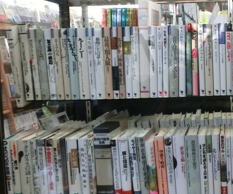 f:id:ryuuzanshi:20121029155957j:image