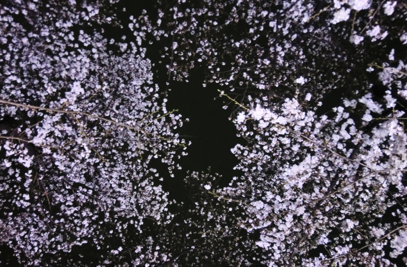 f:id:ryuuzanshi:20130322194611j:image