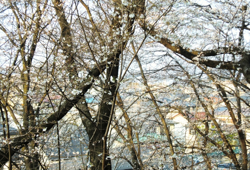 f:id:ryuuzanshi:20130323163057j:image