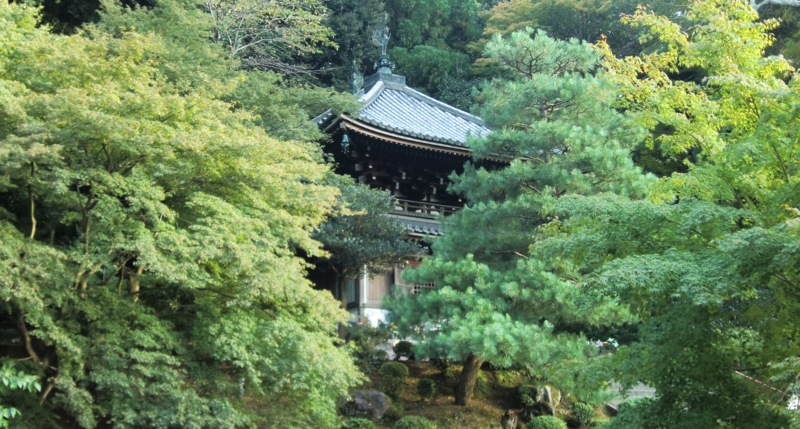 f:id:ryuuzanshi:20131017155221j:image