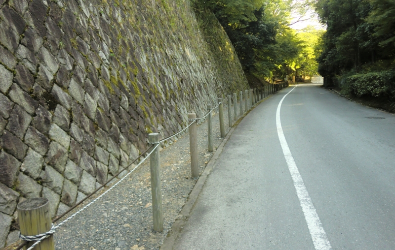 f:id:ryuuzanshi:20131017160748j:image