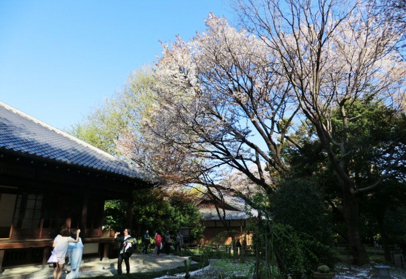 f:id:ryuuzanshi:20140404151533j:image