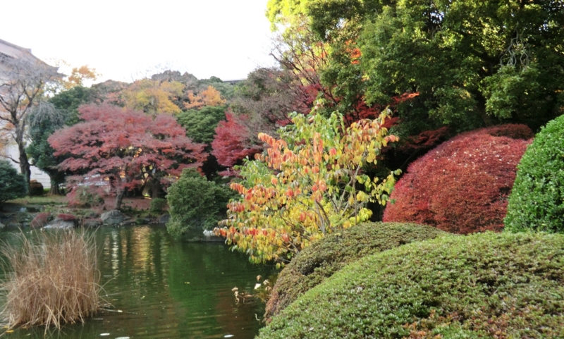 f:id:ryuuzanshi:20141205144715j:image