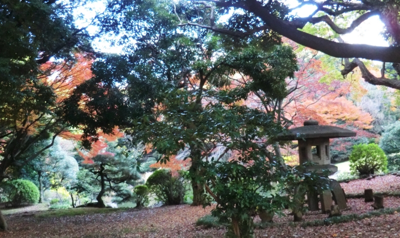 f:id:ryuuzanshi:20141205145104j:image