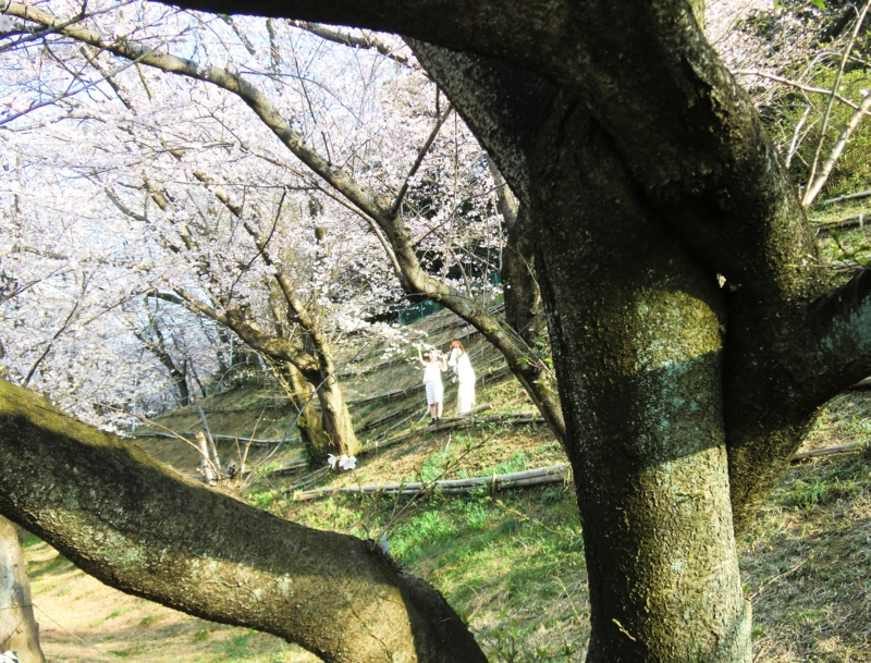 f:id:ryuuzanshi:20150330153729j:image