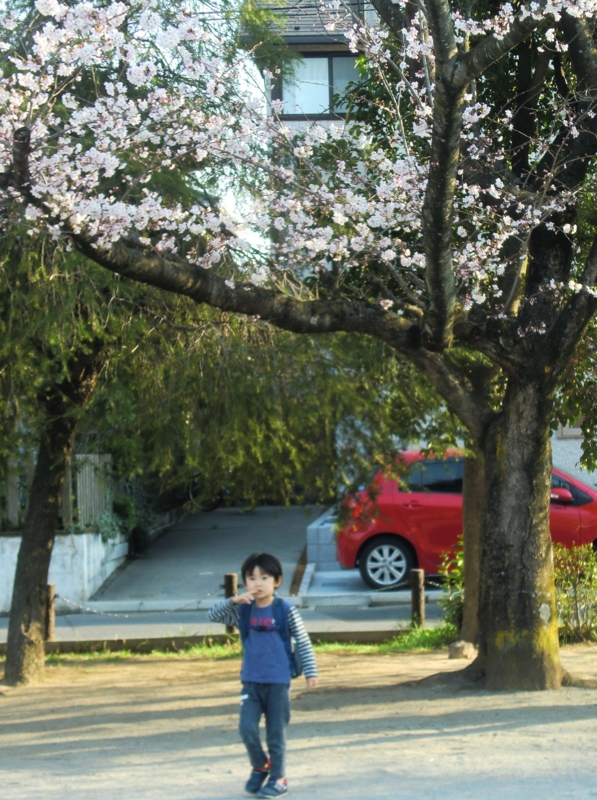 f:id:ryuuzanshi:20150330154752j:image