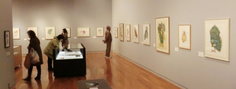 ーまぼろしの翼ー 島谷晃展。 - ryuuzanshi's blog