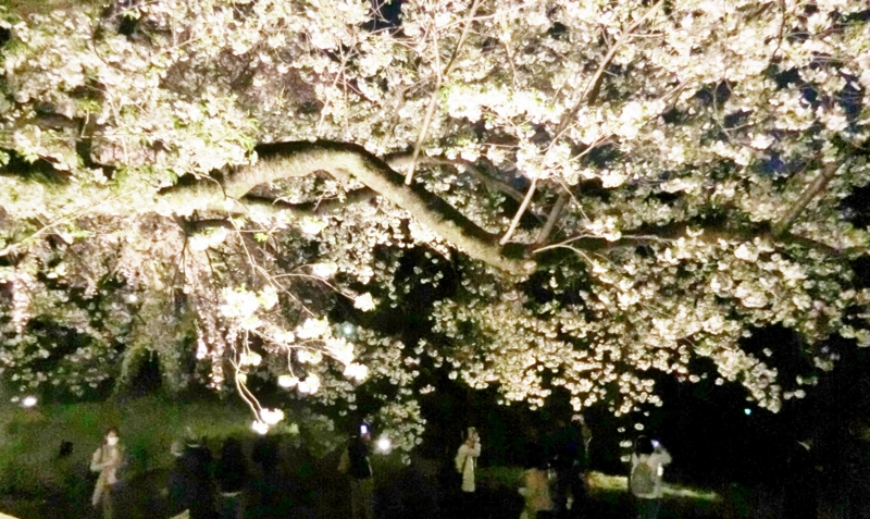 f:id:ryuuzanshi:20170407181047j:image f:id:ryuuzanshi:20170407181047j:image