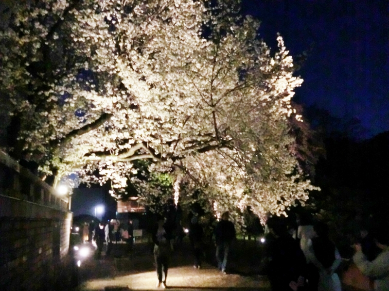 f:id:ryuuzanshi:20170407181312j:image f:id:ryuuzanshi:20170407181312j:image