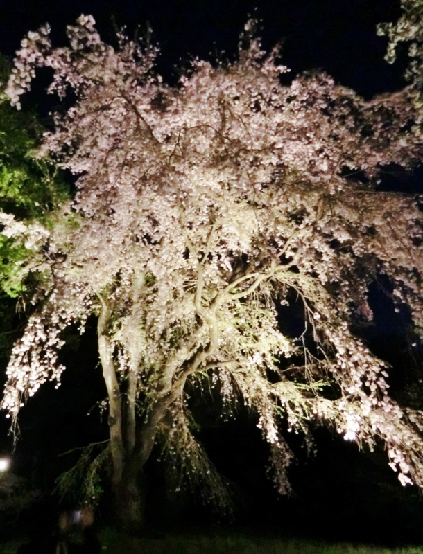 f:id:ryuuzanshi:20170407181400j:image f:id:ryuuzanshi:20170407181400j:image