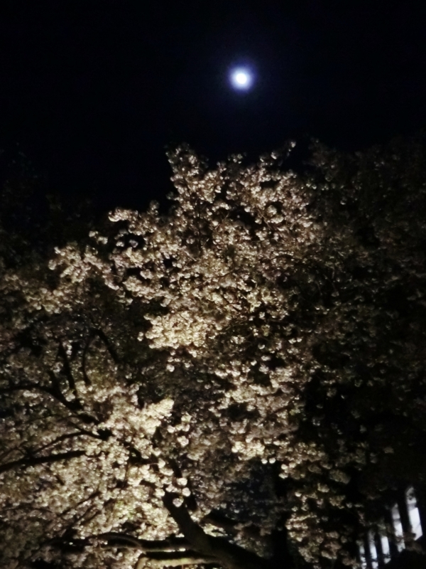 f:id:ryuuzanshi:20170407181509j:image f:id:ryuuzanshi:20170407181509j:image