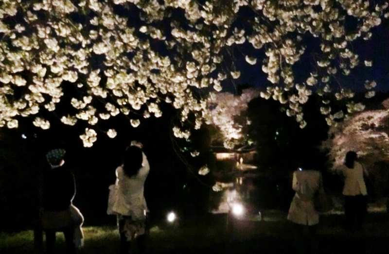 f:id:ryuuzanshi:20170407181538j:image f:id:ryuuzanshi:20170407181538j:image