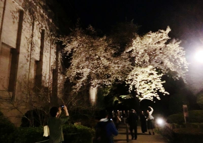 f:id:ryuuzanshi:20170407182106j:image f:id:ryuuzanshi:20170407182106j:image