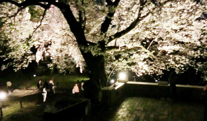 f:id:ryuuzanshi:20170407183319j:image f:id:ryuuzanshi:20170407183319j:image