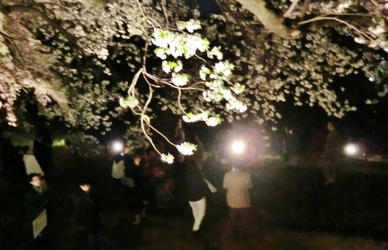 f:id:ryuuzanshi:20170407183406j:image f:id:ryuuzanshi:20170407183406j:image