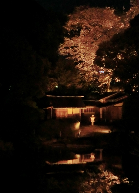 f:id:ryuuzanshi:20170407183621j:image f:id:ryuuzanshi:20170407183621j:image