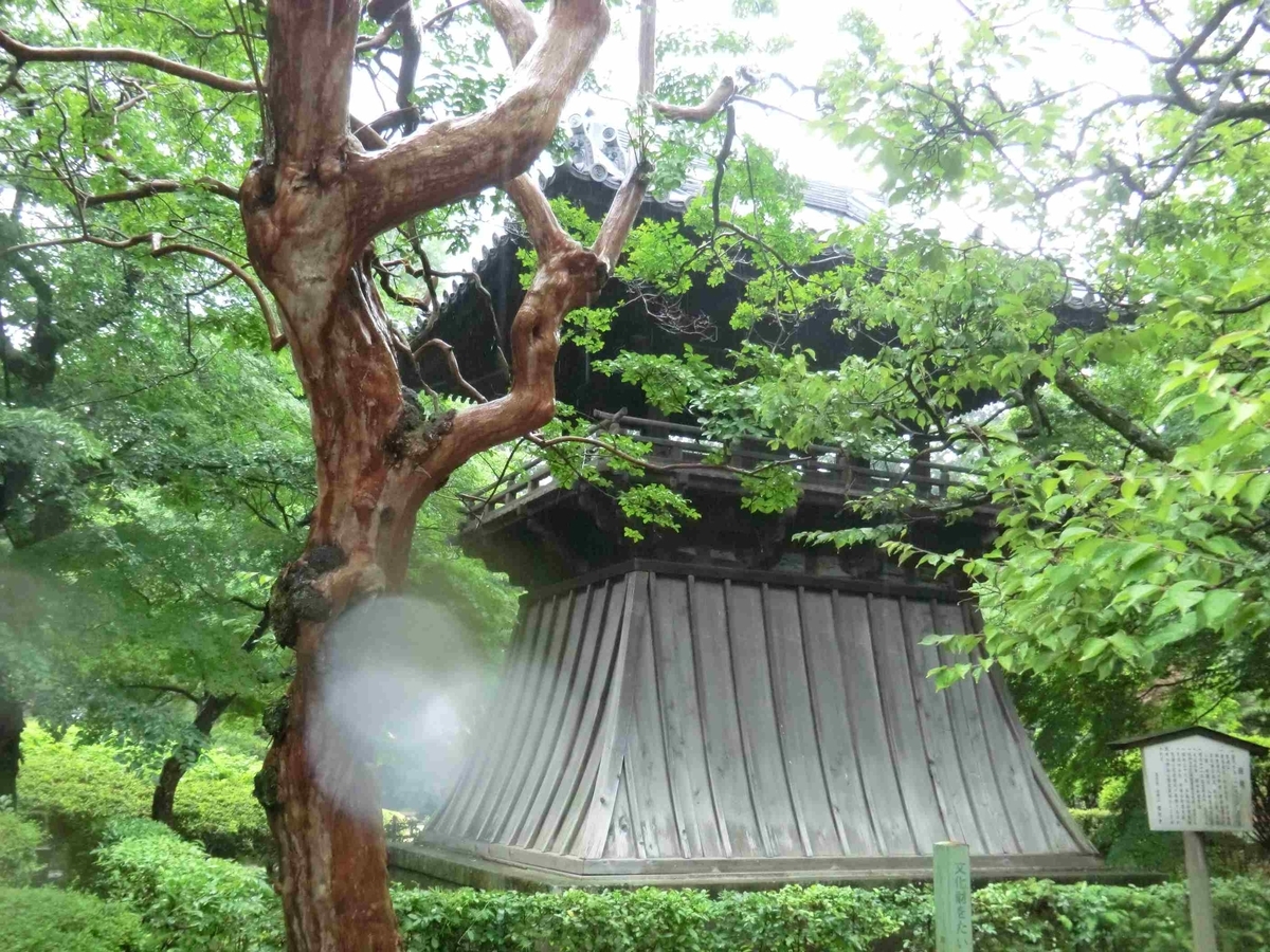 f:id:ryuuzanshi:20190607093920j:plain