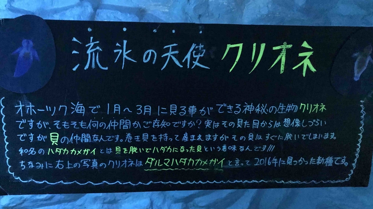 f:id:ryuuzanshi:20200301111416j:plain