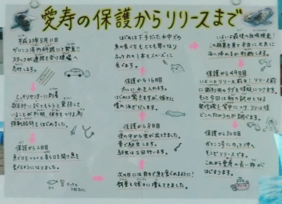 f:id:ryuuzanshi:20200301122859j:plain
