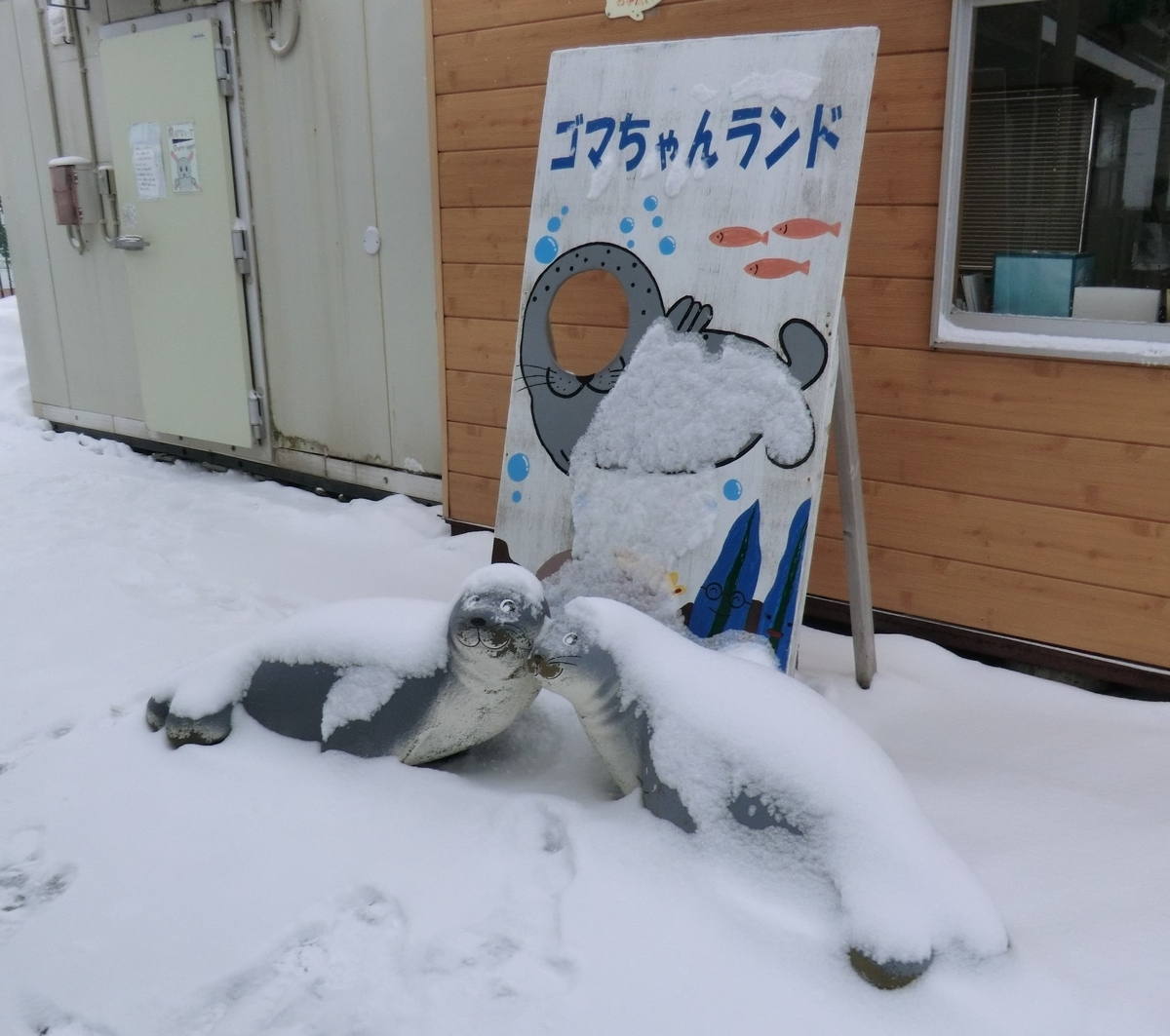 f:id:ryuuzanshi:20200301124846j:plain