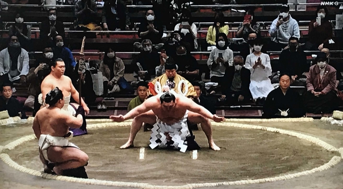 f:id:ryuuzanshi:20210314154133j:plain