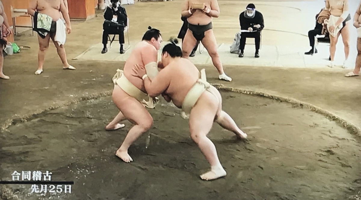 f:id:ryuuzanshi:20210314155321j:plain