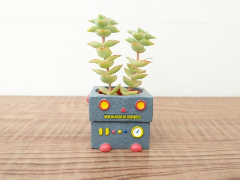 観葉植物