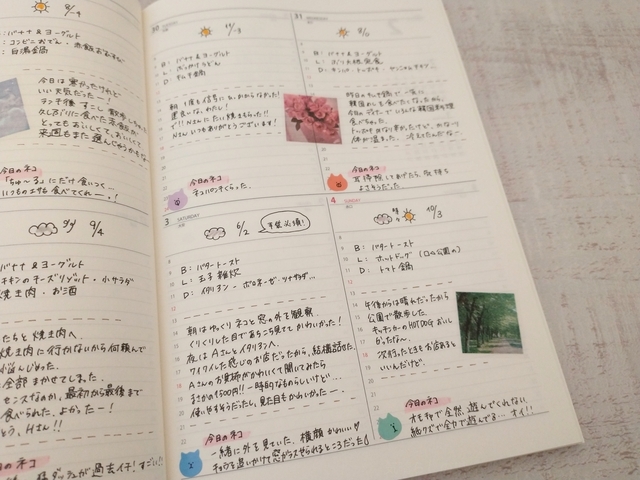 週間ブロック　ライフログ