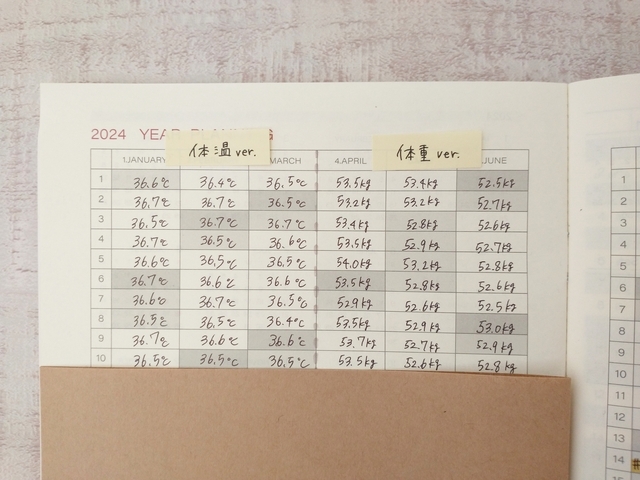 年間ページ　健康管理