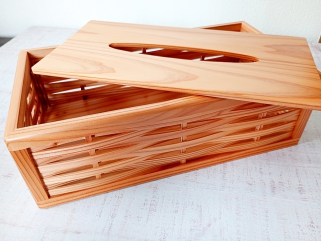 CAPIC テッシュケース