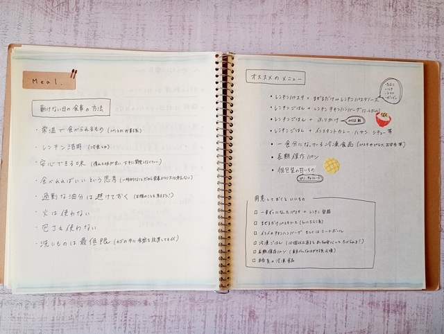 体力ゼロの動けない日のためのページ　食事ページ