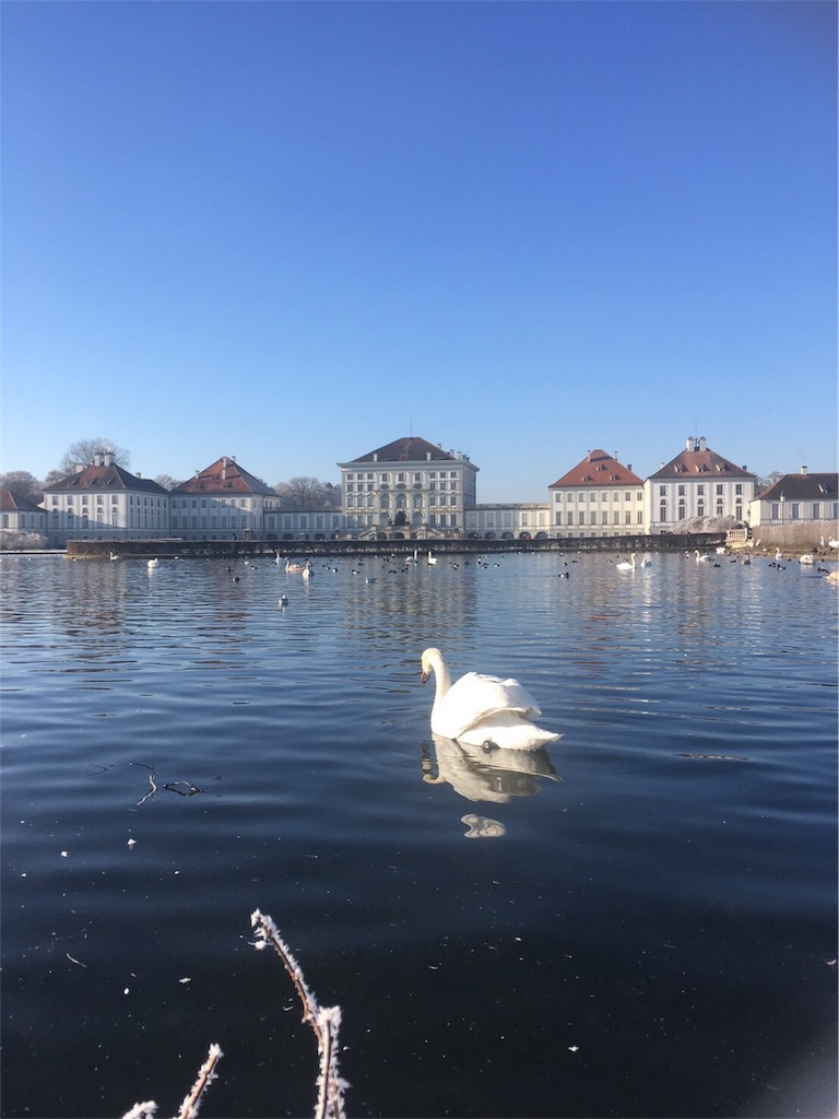 f:id:ryyynu:20170113075416j:image