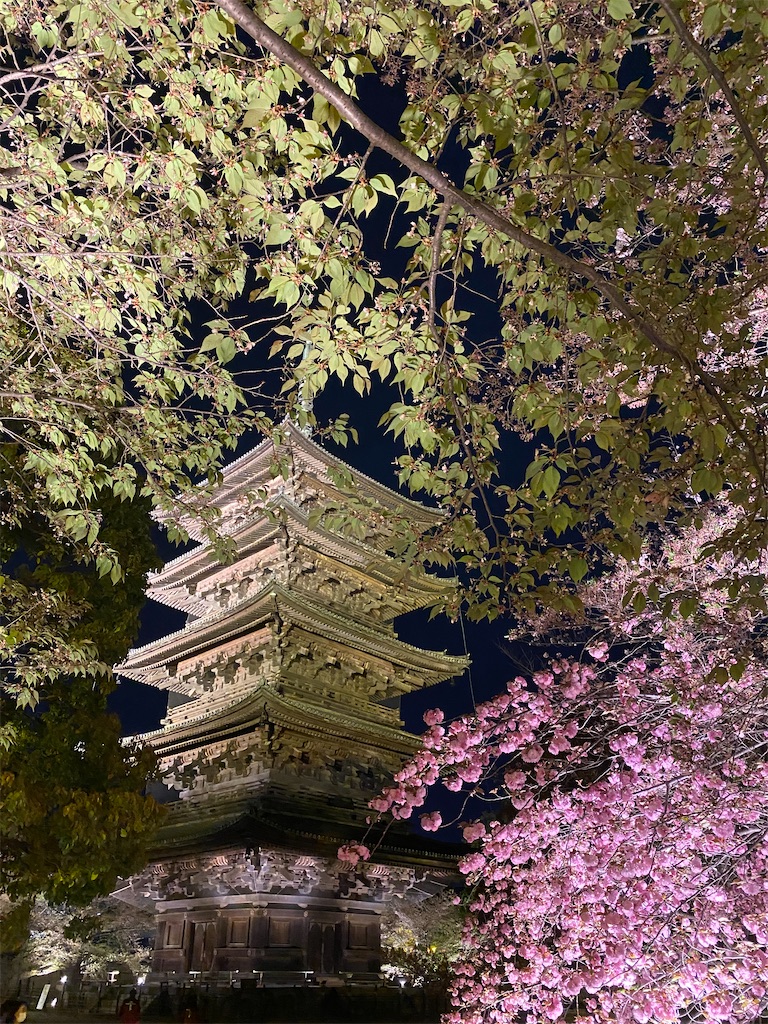f:id:rzldzl7:20220413152007j:image