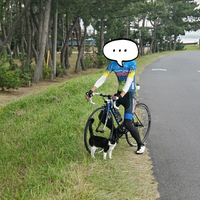 f:id:s--works:20201030121751j:plain