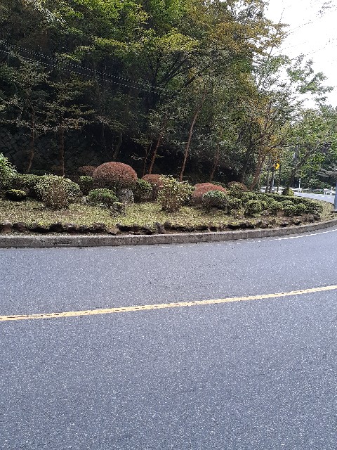 f:id:s--works:20201111195803j:plain