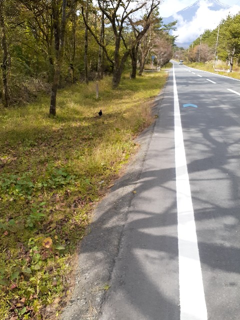 f:id:s--works:20201111213122j:image