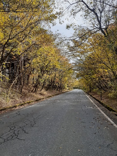 f:id:s--works:20201111214231j:image